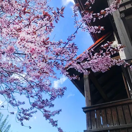 Schoene Ferienapartments Im Bayerischer Wald Chrysantihof *