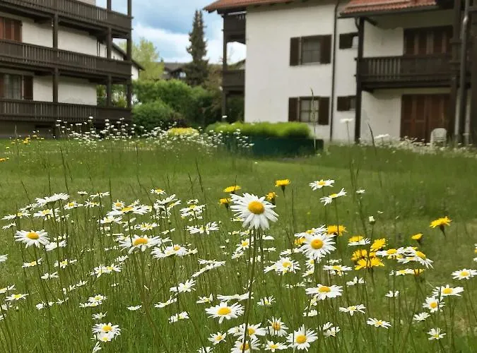 Schoene Ferienapartments Im Bayerischer Wald Chrysantihof Διαμέρισμα *