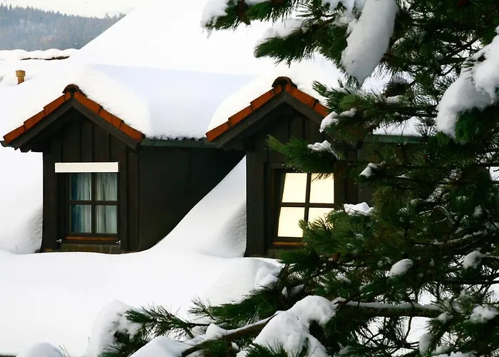 Διαμέρισμα Schoene Ferienapartments Im Bayerischer Wald Chrysantihof *