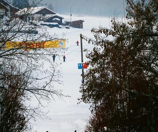 Διαμέρισμα Schoene Ferienapartments Im Bayerischer Wald Chrysantihof *