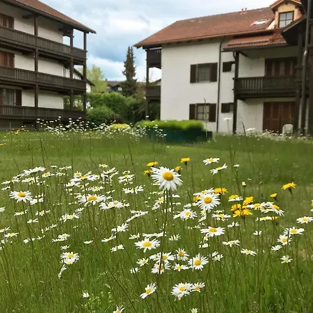 Schoene Ferienapartments Im Bayerischer Wald Chrysantihof Апартаменты *