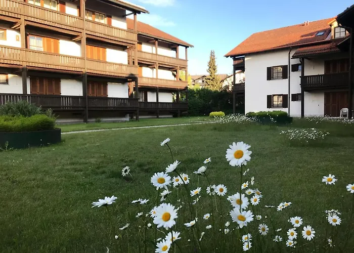 Schoene Ferienapartments Im Bayerischer Wald Chrysantihof Appartement Zwiesel