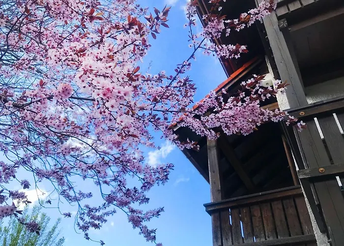 Schoene Ferienapartments Im Bayerischer Wald Chrysantihof *